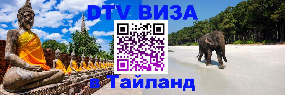 Сколько стоит DTV виза — актуальные цены, оформление даже без документов - Сураттхани 